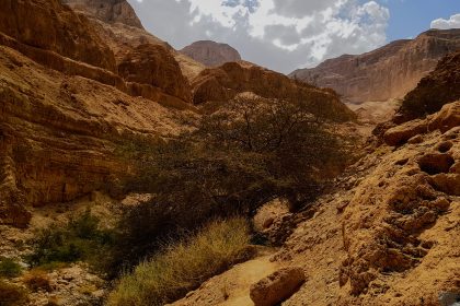 Nahal Arugot, Ein Gedi, Judean Desert, Israel, by Mirela Felicia Catalinoiu